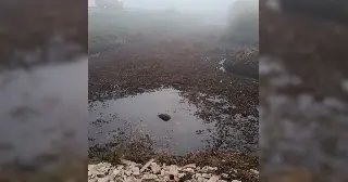 Casal morre após carro capotar e cair em lago na BR-101 - 3
