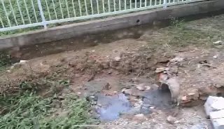 (VÍDEO) Esgoto a céu aberto e buracos colocam moradores em risco no Cedrinho - 1