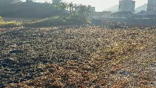 (VÍDEO) Homem coloca fogo em vegetação no Dom Joaquim - 2