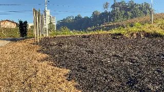 (VÍDEO) Homem coloca fogo em vegetação no Dom Joaquim - 1