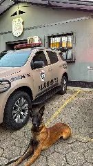 Casal acaba preso após mandado revelar droga pronta para venda - 1