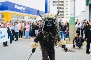 Desfile cívico celebra os 165 anos de Brusque com memória e cuca gigante - 14