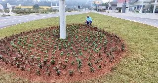 Paisagismo na “Gota de Acesso” em frente ao Pavilhão é finalizado - 5