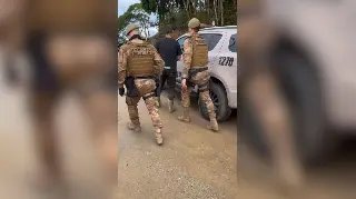 “Protetor” É flagrado com cães famintos e mortos em SC - 3