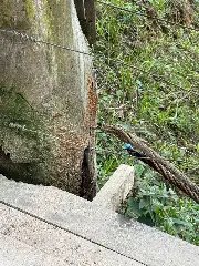 (VÍDEO) Ponte pênsil da Cristalina é interditada após rompimento de cabo - 2