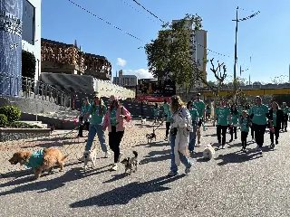 2ª Cãominhada reúne mais de 150 pets e tutores na Beira rio - 1