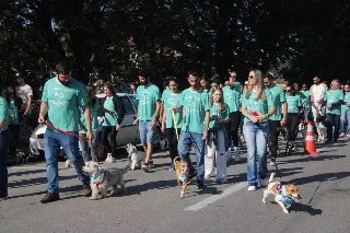 2ª Cãominhada reúne mais de 150 pets e tutores na Beira rio - 12