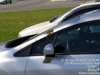 (VÍDEO) Carro vira “colmeia” temporária e bombeiros são acionados em Brusque - 1