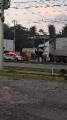 Motorista sai sem pagar programa com travesti e caso vai parar na PM - 1