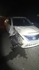 Boi escapa de pasto, invade rodovia e morre após colisão na Antônio Heil - 1