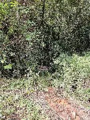 Carro sai da pista e capota em ribanceira em Botuverá - 1