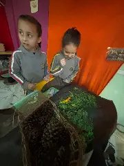 (VÍDEO) Alunos do Pré II transformam pesquisa escolar em lição de sustentabilidade - 11