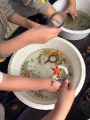 (VÍDEO) Alunos do Pré II transformam pesquisa escolar em lição de sustentabilidade - 6