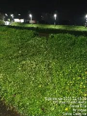 (VÍDEO) Carro cai no rio Itajaí-Mirim durante a noite em Brusque - 2