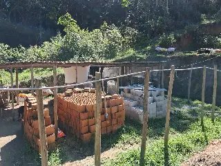 (VIDEO) Canil enfrenta dívida de até R$ 80 mil e risco de despejo em Guabiruba - 1
