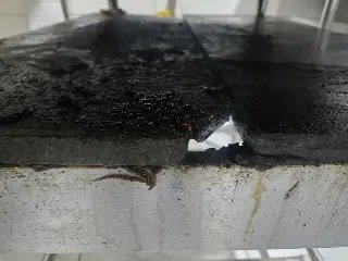 Comida estragada e indícios de pragas resultam na interdição de restaurante em Itajaí - 4