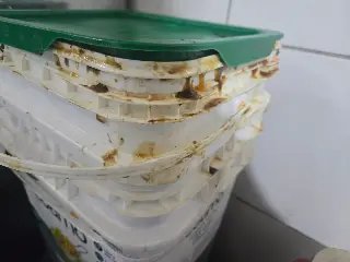 Comida estragada e indícios de pragas resultam na interdição de restaurante em Itajaí - 2