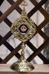 Padre de Brusque entrega rosa de ouro a São Carlo Acutis, na Itália - 7