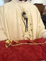 Padre de Brusque entrega rosa de ouro a São Carlo Acutis, na Itália - 5