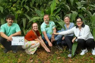 Trilha do Parque Zoobotânico recebe 35 novas árvores nativas - 3