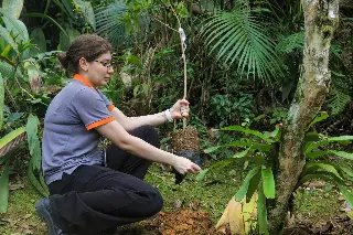 Trilha do Parque Zoobotânico recebe 35 novas árvores nativas - 6