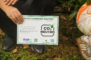 Trilha do Parque Zoobotânico recebe 35 novas árvores nativas - 2