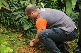 Trilha do Parque Zoobotânico recebe 35 novas árvores nativas - 7