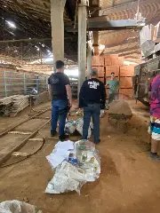 Cerca de 1 tonelada de drogas é incinerada pela Polícia Civil - 3