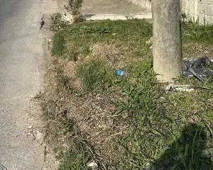 Empresas de telefonia são notificadas por fios irregulares - 2