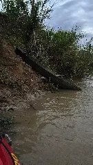 (VÍDEO) Homem some ao cair no Rio Itajaí-Açu - 5