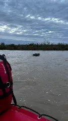 (VÍDEO) Homem some ao cair no Rio Itajaí-Açu - 2