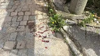 (VÍDEO) Acidente deixa sangue na rua e ocupantes da moto feridos - 1