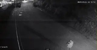 Polícia Civil solicita ajuda para identificar autores de roubo em Brusque - 4