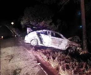 Motorista desvia de animal, bate em árvore e veículo incendeia - 1