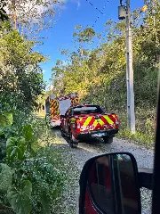 Incêndio de grandes proporções em vegetação mobiliza bombeiros - 2