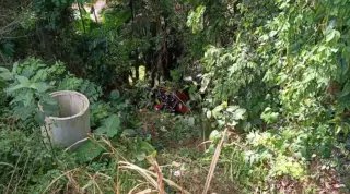 Veículo parado se move sozinho e provoca grave acidente em ribanceira - 1
