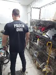 Pet shop é interditado após fiscalização em Brusque - 1