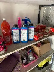 Pet shop é interditado após fiscalização em Brusque - 5