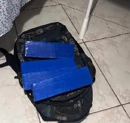 Mãe e filho são presos por tráfico após polícia descobrir estufa de maconha - 3