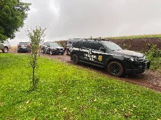 Estufa com 200 plantas de maconha é encontrada pela polícia - 2
