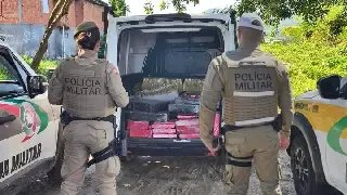 PM tira de circulação meia tonelada de maconha e prende suspeito - 1