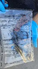 Homem atira na cabeça da esposa e depois se mata em Itajaí  - 1