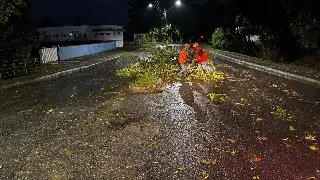 Granizo cai em vários pontos de São João Batista e Nova Trento durante forte temporal - 2