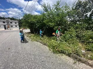 Trabalhos de roçada têm início nesta semana por diversos bairros de Brusque - 1