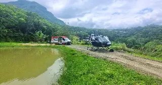 Trabalhador morre após picada de inseto em área de mata - 1