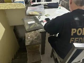 Tele Vape: PF apreende carga de vapes e prende suspeito - 2