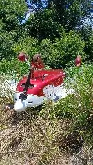Fumaça no motor obriga avião a aterrissar em plantação  - 2