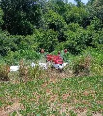 Fumaça no motor obriga avião a aterrissar em plantação  - 1