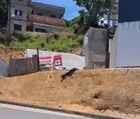 (VÍDEO) Trabalhador sofre queda em galpão no Santa Luzia - 1