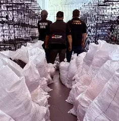 R$ 1,5 milhão em roupas piratas são apreendidas em Brusque - 5